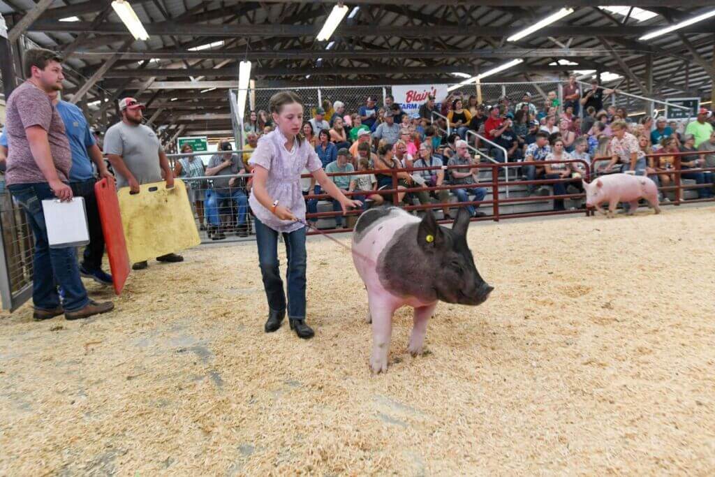 Monroe County Fair Greater Tomah Area Chamber of Commerce / CVB